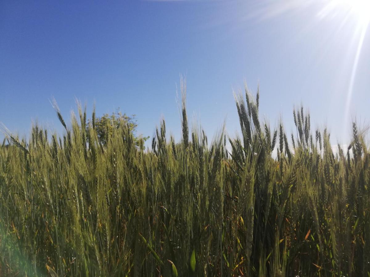 Agriturismo Fondo Paliemmu Modica Zewnętrze zdjęcie