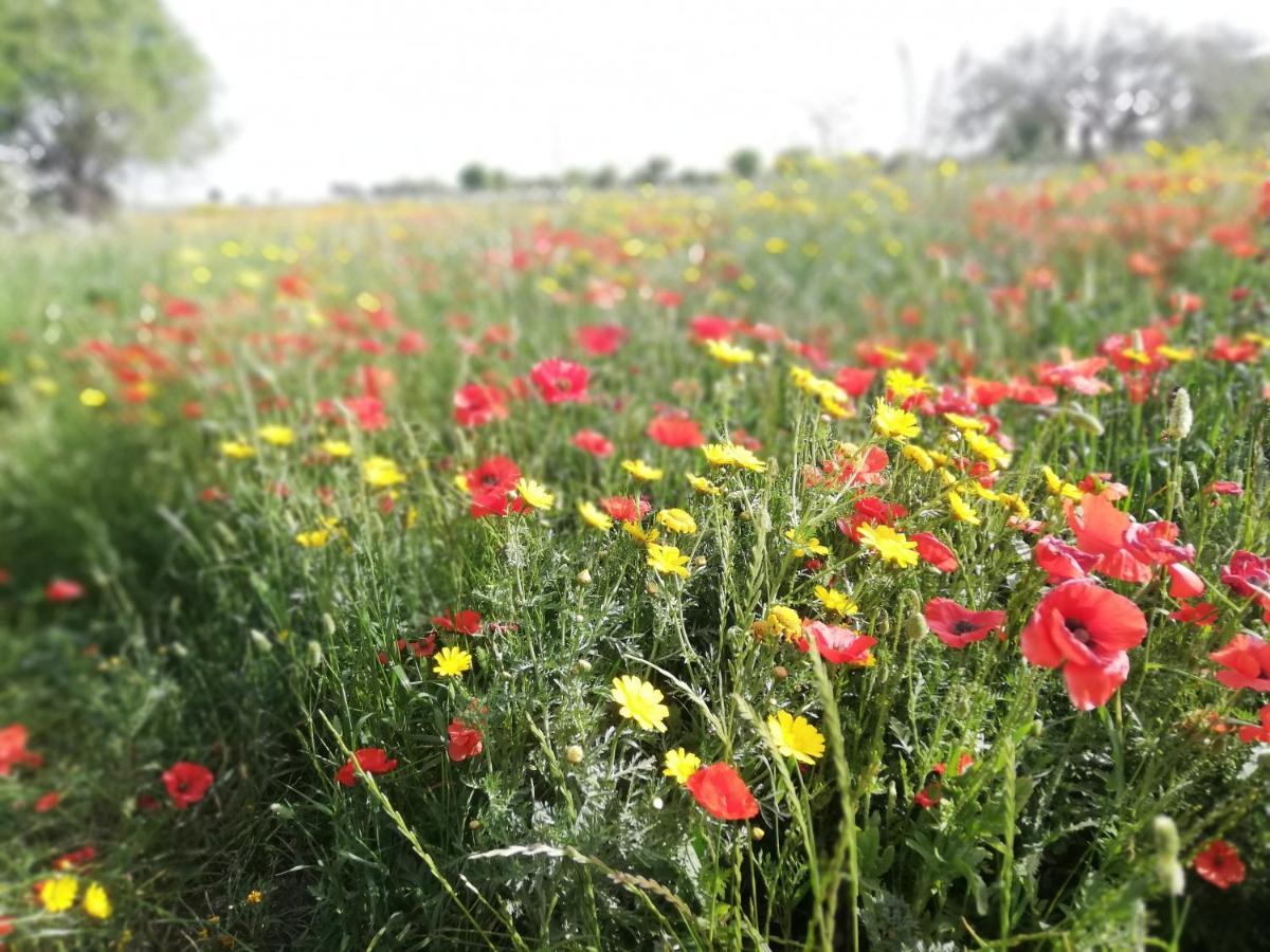 Agriturismo Fondo Paliemmu Modica Zewnętrze zdjęcie